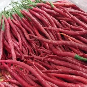 cabai keriting merah 1 kg