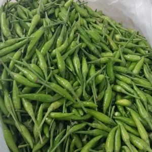 cabe rawit hijau 1 kg