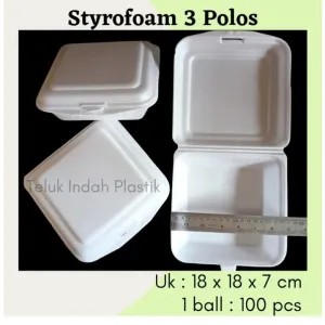 styrofoam nasi isi 100pcs