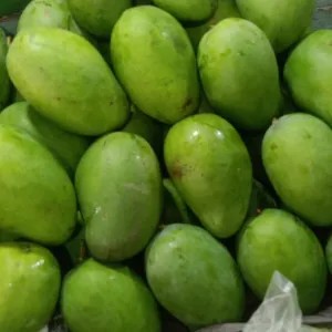 Mangga gadung  (Mengkal) 1kg