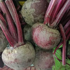 Buah Bit merah atau beet root 1kg