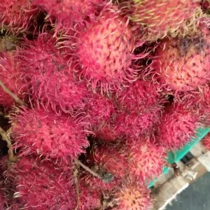rambutan binjai1,5kg