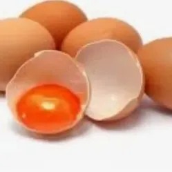 telor ayam negeri omega 1/2 kg