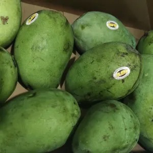Mangga Harum Manis 1kg
