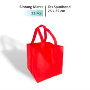 tas spunbond 25X25 isi 12 bijiuntuk kotak nasi