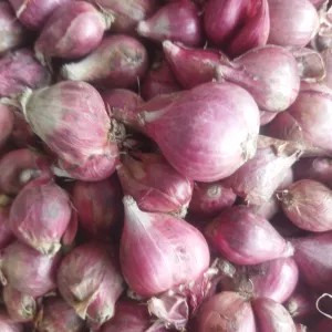 Bawang merah brebes besar 1 ons 100g