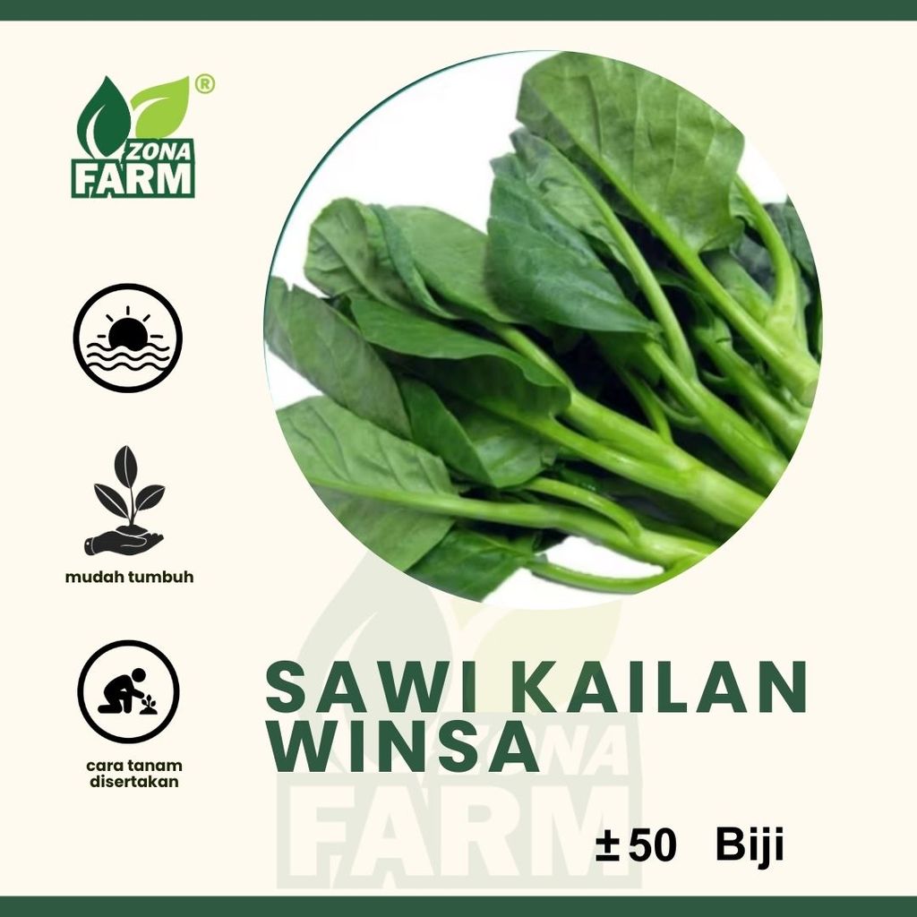 Benih sawi kailan winsa Unggul 50 Biji
