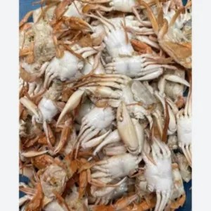 BABY CRAB/FROZEN SEAFOOD/FROZEN FOOD 1kg