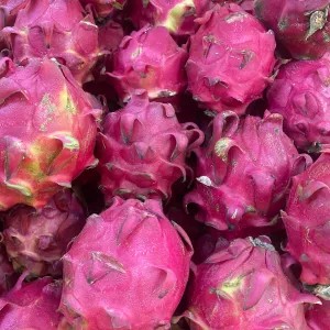 Buah Naga 1kg