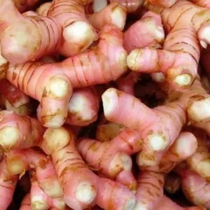 LENGKUAS 1kg