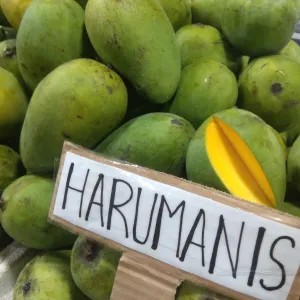 Mangga harum manis 1kg