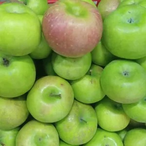 Apel rome beauty malang 1kg