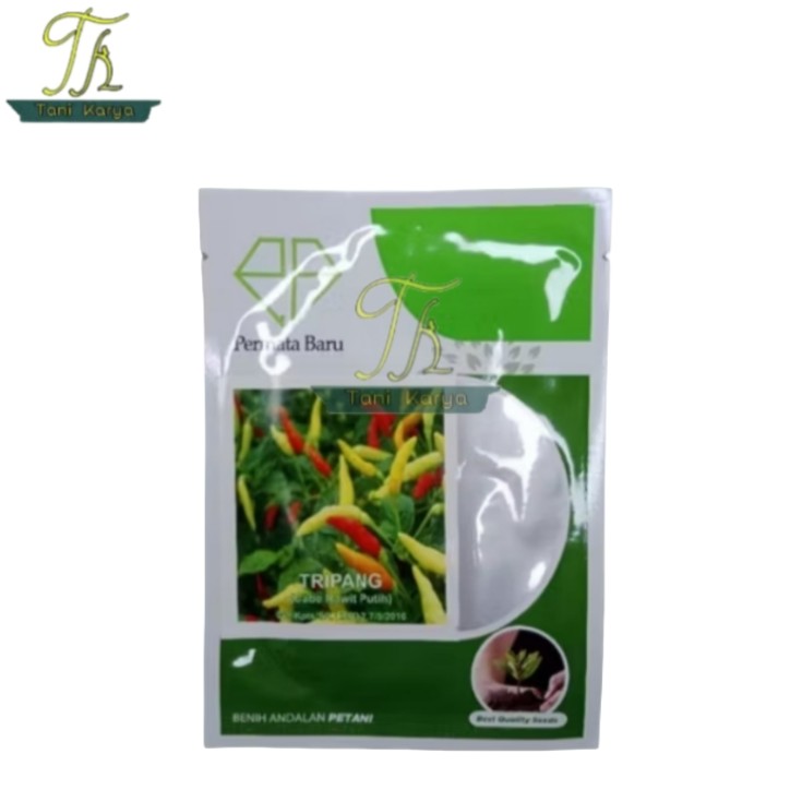 BENIH/BIBIT CABE RAWIT PUTIH TRIPANG 10 GRAM/PERMATA BARU 10 GRAM