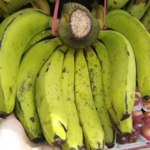 pisang ambon lumut dan putih cililin
