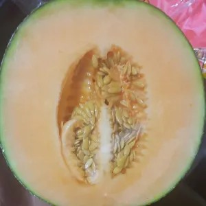melon orange