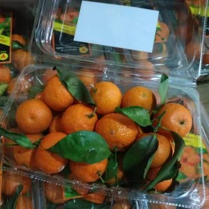 Jeruk Santang Yuji 500g