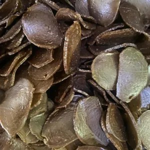 krupuk jengkol