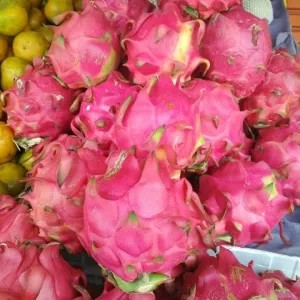 Buah Naga 1kg