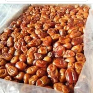 buah kurma khalas 10kg