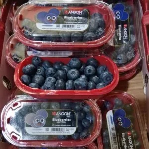 Blueberry Jumbo Maniss