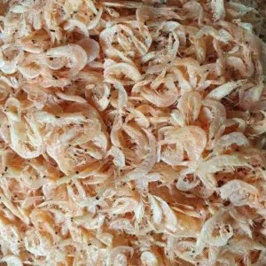 Udang Grago 50g