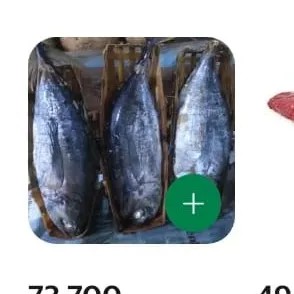ikan tuna tongkol kukus super besar