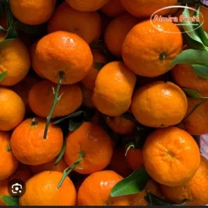 jeruk santang madu  super 1kg