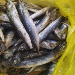 ikan asin rebus tongkol 1kg 1kg