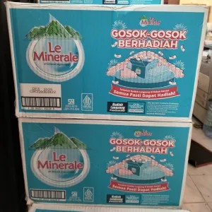 LE MINERAL 1DUS  600 ml