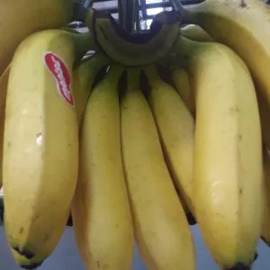 PISANG AMBON SUKABUMI