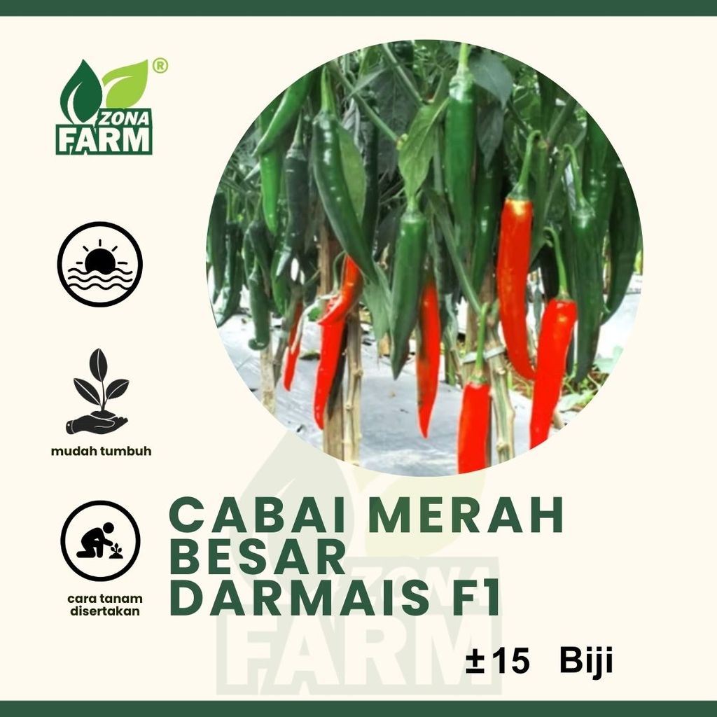 Benih cabai merah besar darmais f1 Unggul 15 Biji