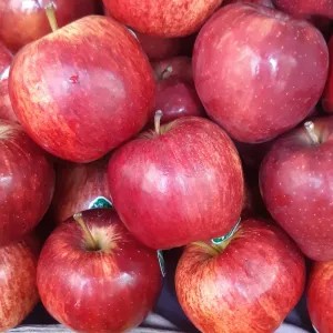 Apel Merah Washington