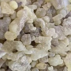 kemenyan putih kristal/madu