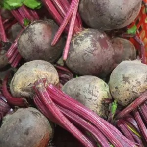 buah bit 1kg