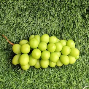 ANGGUR HIJAU MUSCAT 1kg