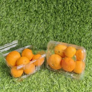 JERUK SANTANG BIRMA 1per pack