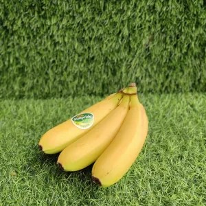 PISANG CAVENDISH 1kg