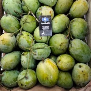 mangga Indramayu matang 1kg 1kg