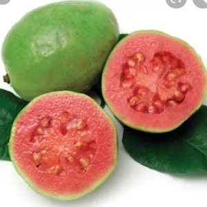 jambu merah 1kg