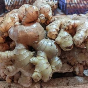 Jahe 1kg