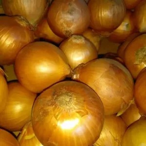 Bawang Bombay 1kg