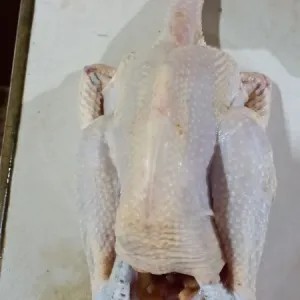 Ayam Kampung 1.2kg