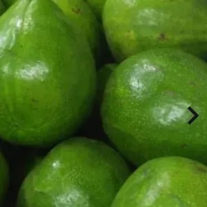 buah alpukat 1kg