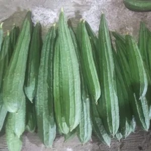Oyong 1kg