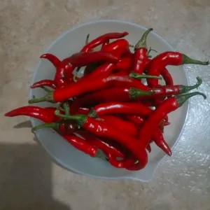 Cabai Merah 1/4Kg