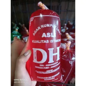 Agar rumput laut DH asli (merah)