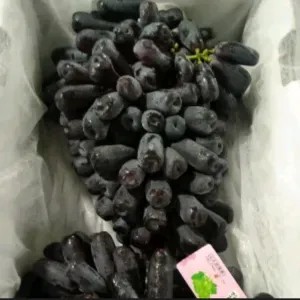 ANGGUR AUTUMN MOONDROP 1KG, 1/2KG, ATAU 250GRAM