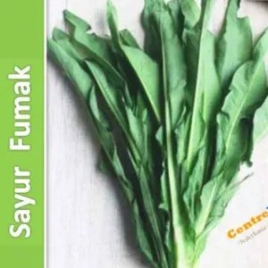 Sayur Fumak / Fumak 500grm 500g