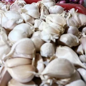 bawang putih kating 1kg