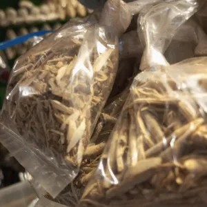 Adas Pulosari 1 pack